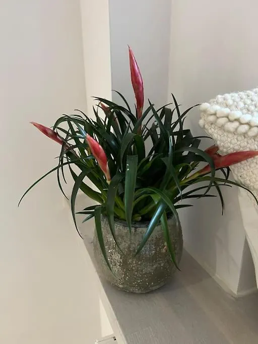 Premium Apartment Plac Zbawiciela, Air Conditioning Warszawa Polska